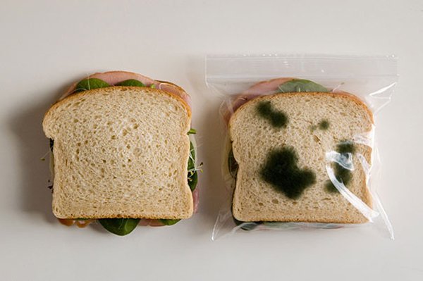 unique inventions anti theft lunch bags