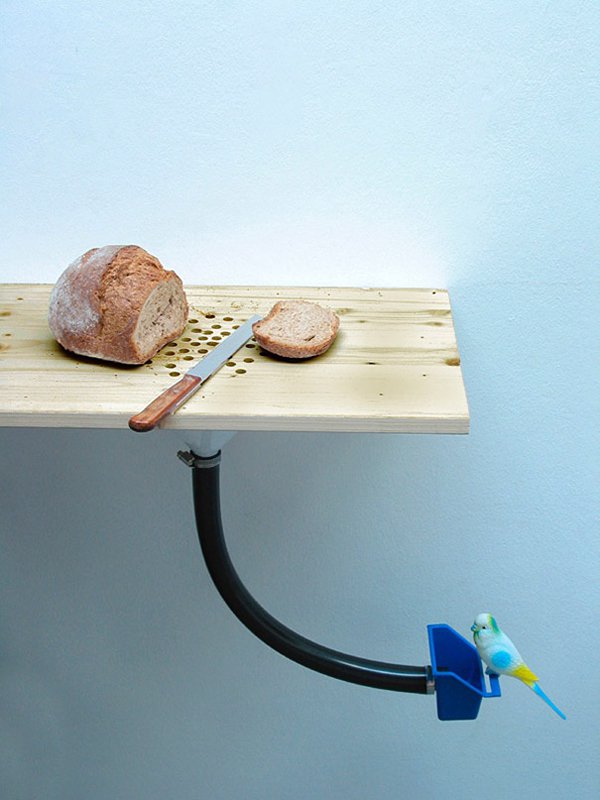 unique inventions cutting board bird feeder