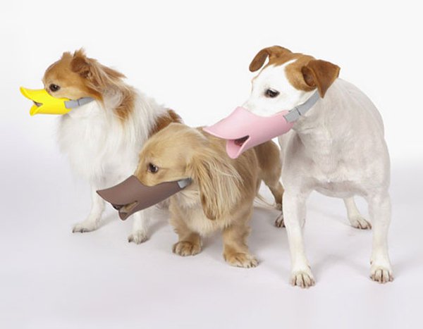 unique inventions duck bill dog muzzle