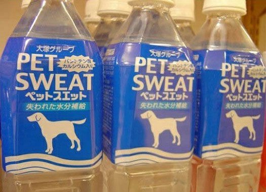 bad food names pet sweat