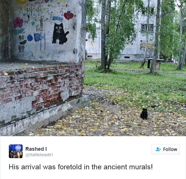 cats owning internet arrival mural