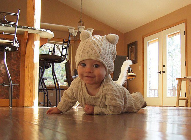 funny cat photobombs baby tail