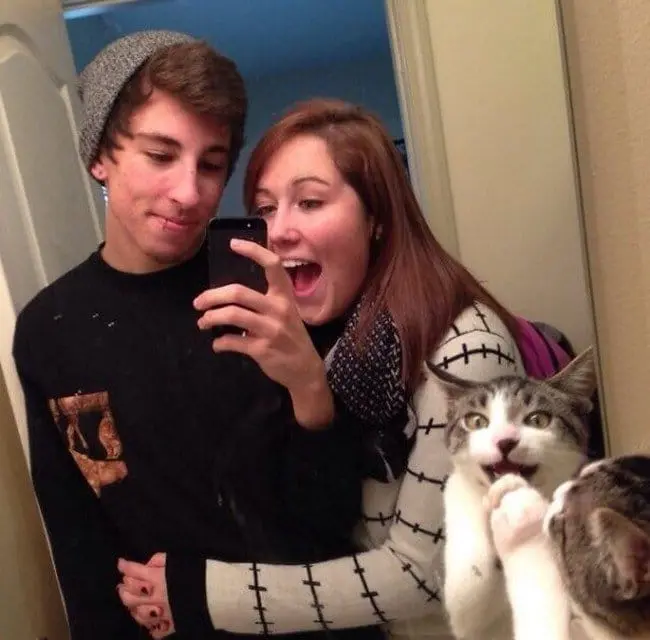 funny cat photobombs couple cat mirror