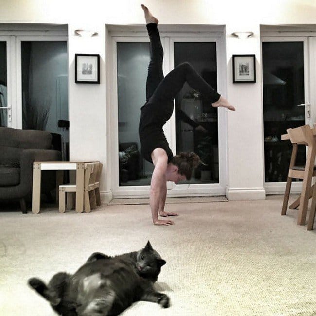 funny cat photobombs girl handstand cat sprawling