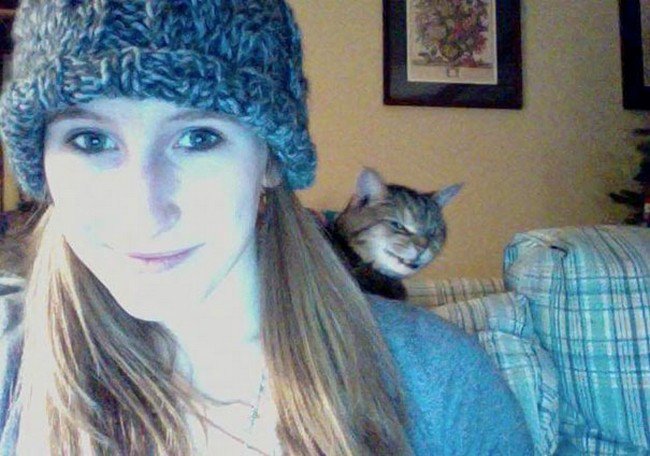 funny cat photobombs girl selfie cat