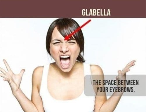 glabella space between your eye brows
