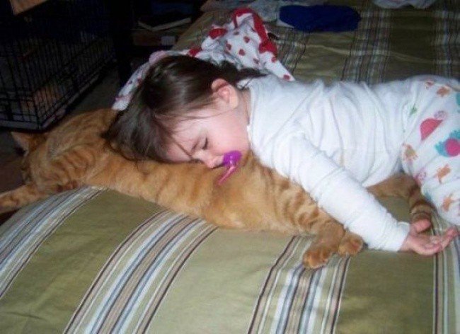 kids sleeping weird places cat