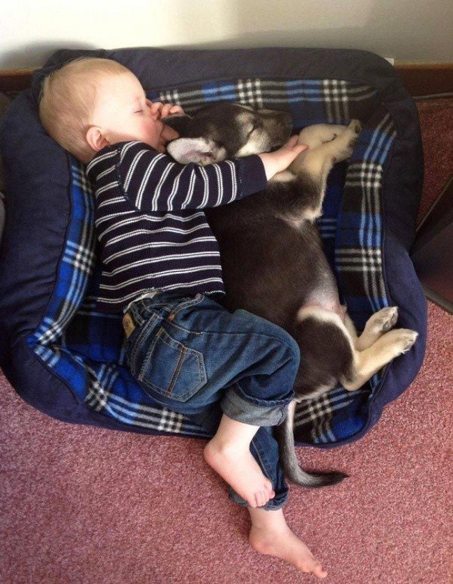 kids sleeping weird places dog bed