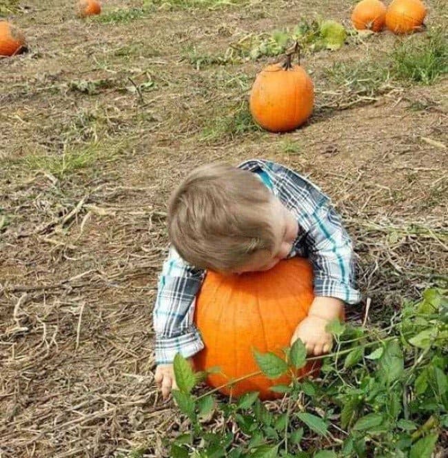 kids sleeping weird places pumpkin