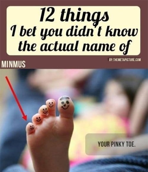 minmus pinky toe