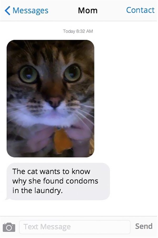 mom jokes humor cat wants to know