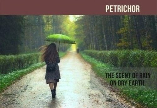 petrichor scent of rain on dry earth