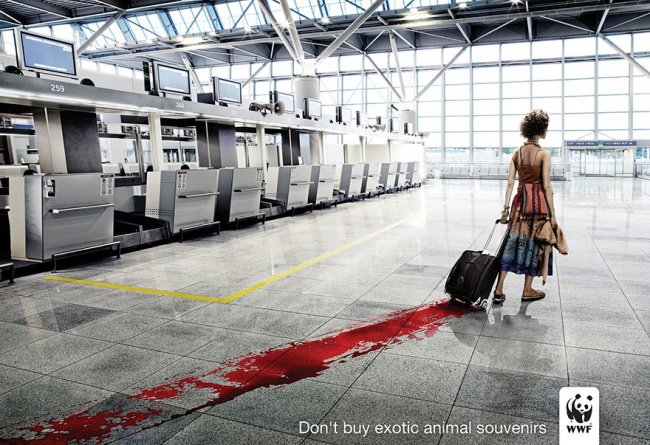 powerful advertising do not buy exotic animal souvenirs