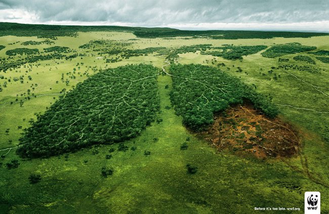 powerful advertising forests are the planets lungs