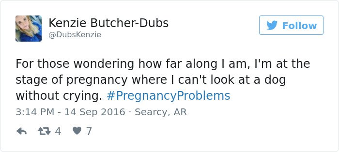 pregnancy tweets look at the dog