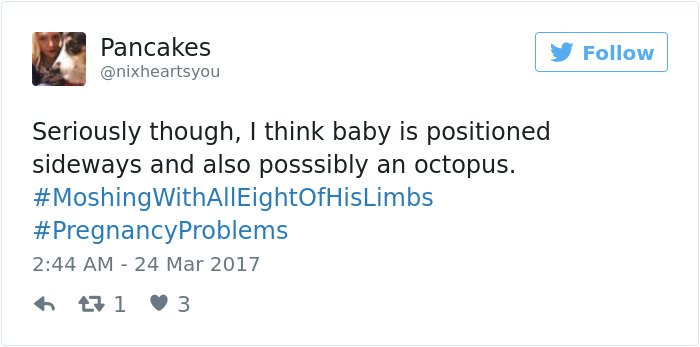 pregnancy tweets octopus baby