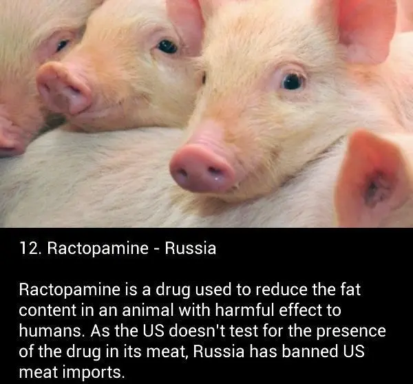 ractopamine banned russia