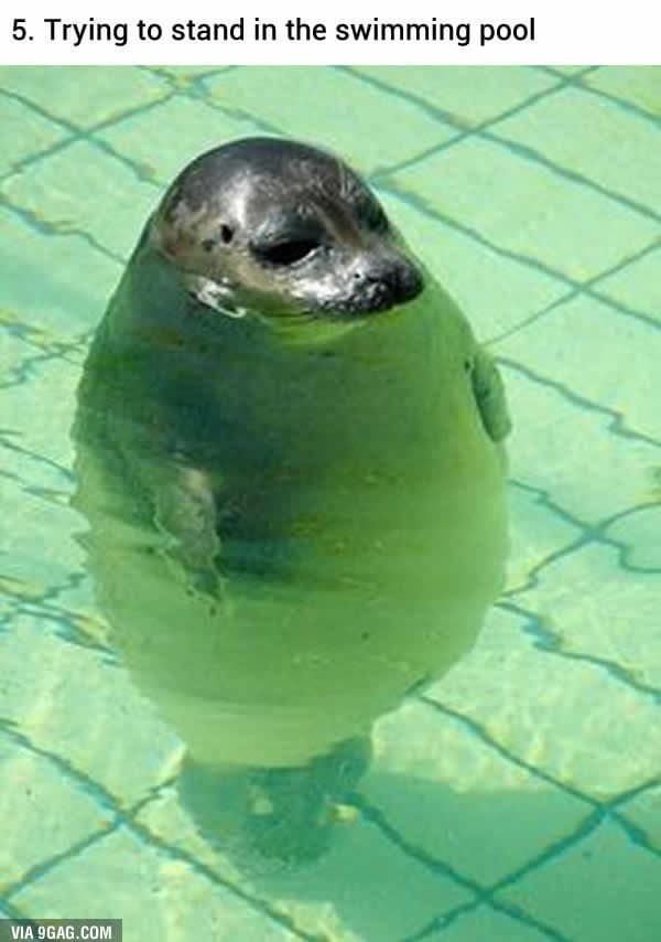 short standing in pool