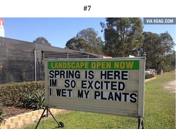 spring is here im so exited i wet my plants
