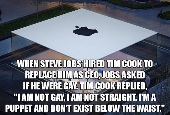 steve jobs hired tim cook asked if he was gay