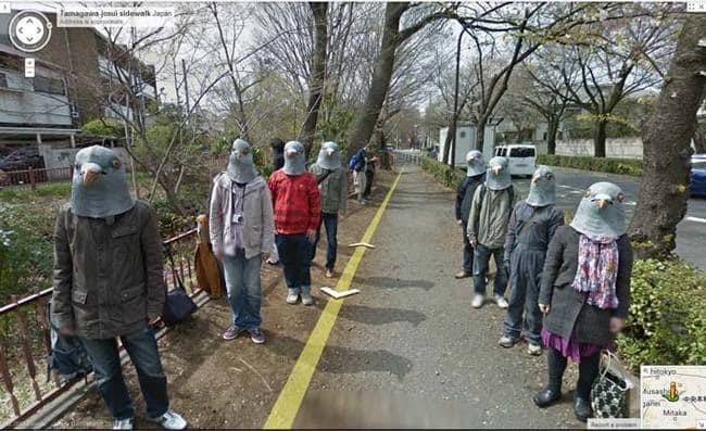 strange things google maps pigeon mask people