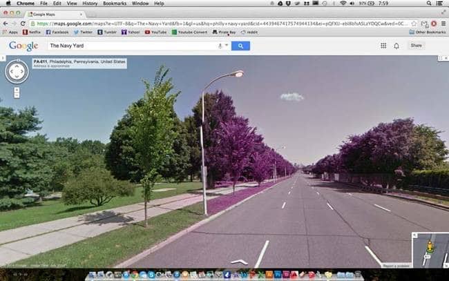 strange things google maps purple trees