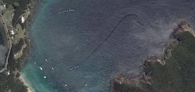 strange things google maps sea snake wake new zealand