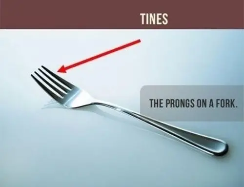 tines prongs on a fork