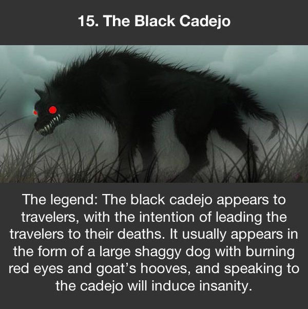 urban legends the black cadejo