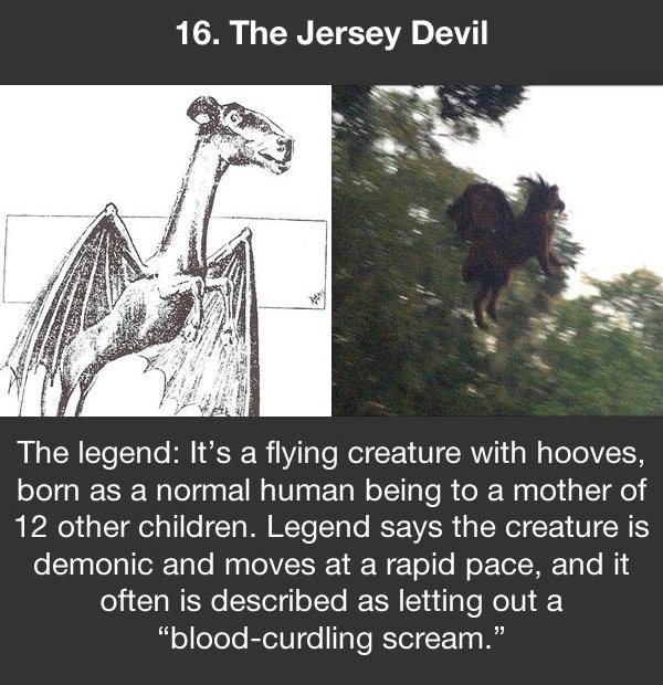 urban legends the jersey devil