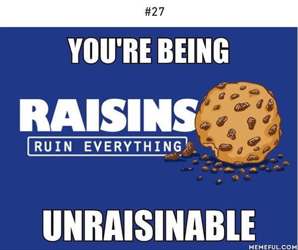 youre being unraisinable