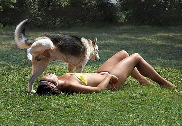 dog about to pee on woman