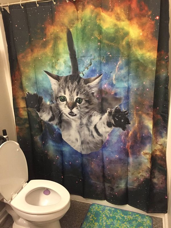 drunk purchases cat shower curtain