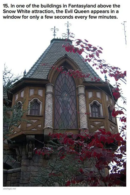 evil queen appears in in window every few minutes disneyland