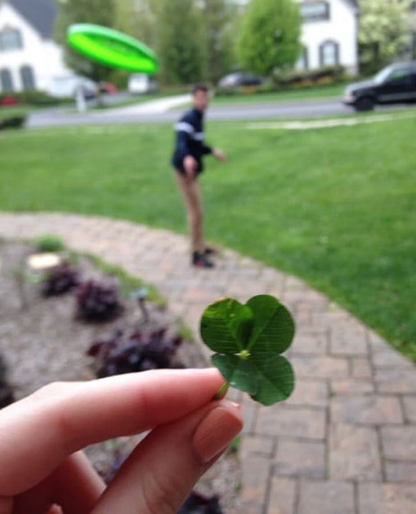 four leaf clover frisbee flying at face