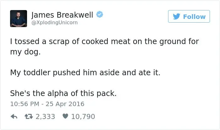 james breakwell tweets scap meat