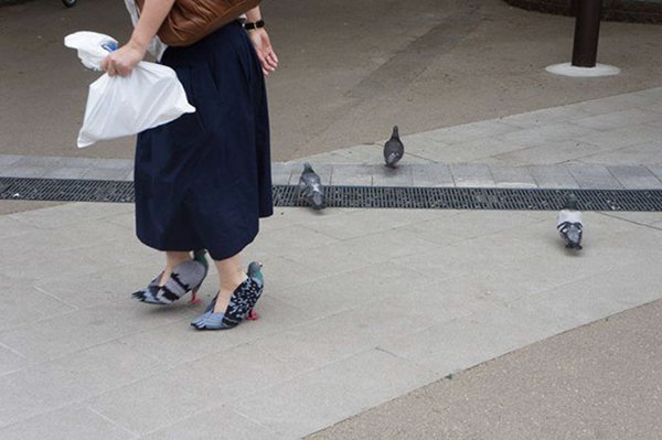 japanese woman pigeon shoes