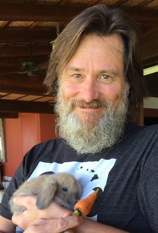 jim carrey with bunny