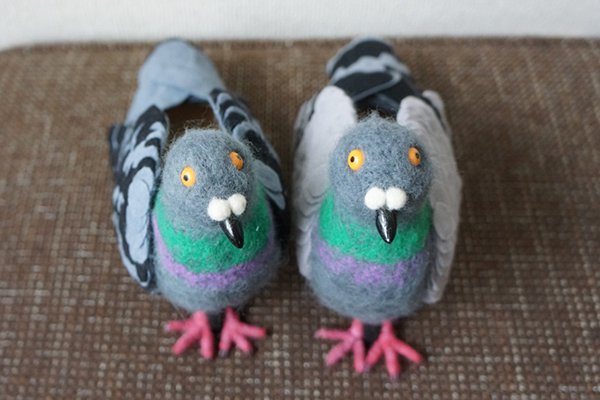 pair of pigeon shoes