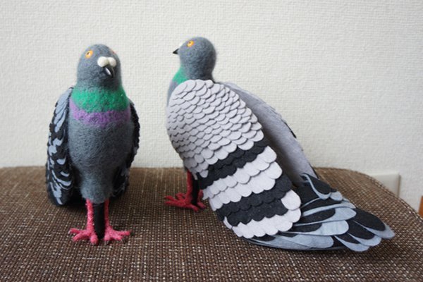 pigeon shoes complete