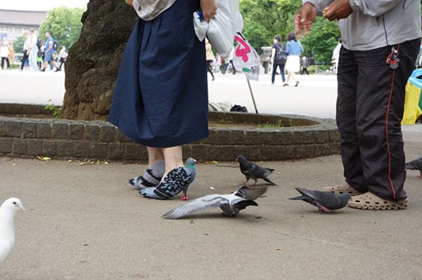 pigeon shoes side view