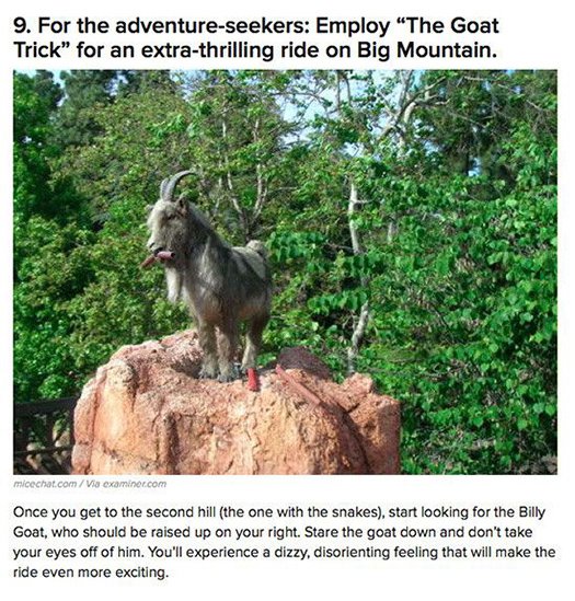 the goat trick big mountain