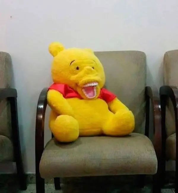 winnie the pooh knock off