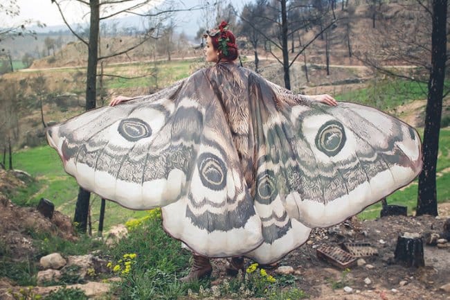 Cool Stuff shawl butterfly wings