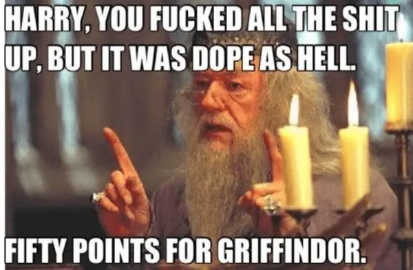 Dumbledore Memes 50 points to gryffindor