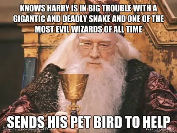 Dumbledore Memes sends pet bird to help