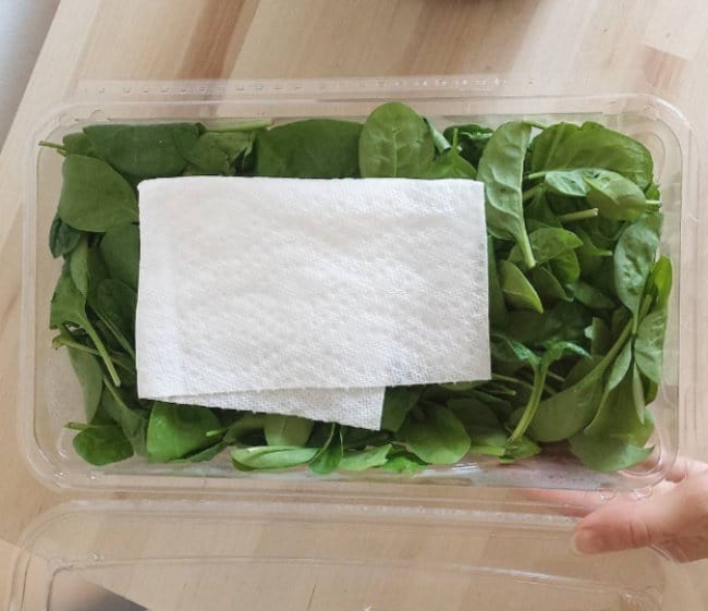 Ingenious Life Hacks paper towel keep salad fresh