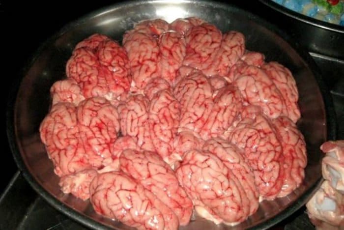 Items Confiscated By Border Security cow brains