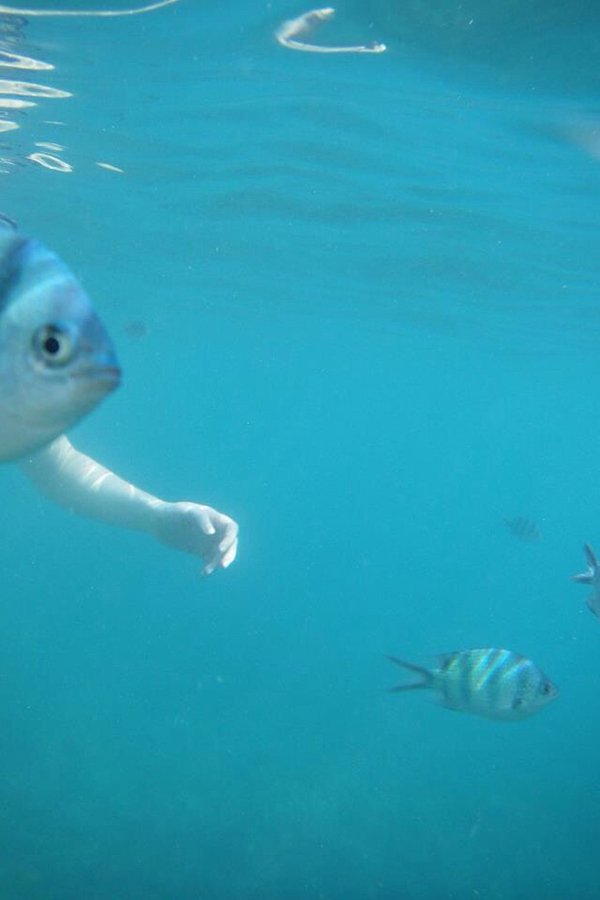 Mind Boggling Pictures fish with arm