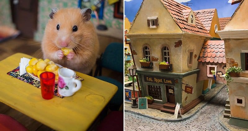 Miniature Town For Hamsters